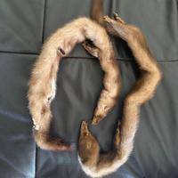 Ermellini coppia sciarpa