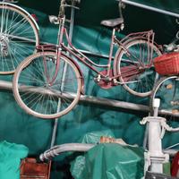 bici donna 