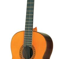 chitarra classica esteve 8