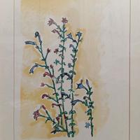 Orfeo Tamburi ( 1910-1994 )  Fiori Selvatici