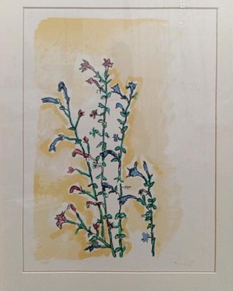 Orfeo Tamburi ( 1910-1994 )  Fiori Selvatici