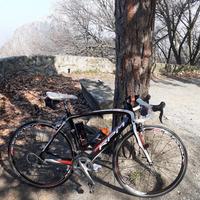 Bici corsa RPM 