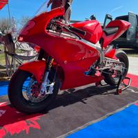 Ciclistica minigp grc 12”