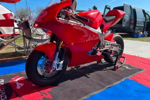 Ciclistica minigp grc 12”