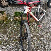 ROCKRIDER Mtb ALL MOUNTAIN AM 100 HARDTAIL