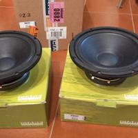 Altoparlanti CIARE PW252 coppia