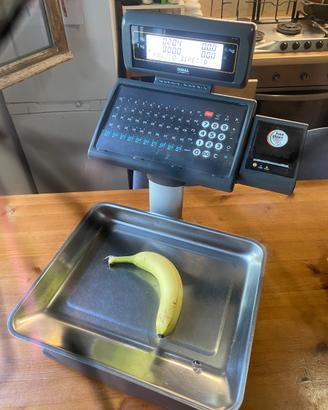 Bilancia elettronica Dibal 500-SW con stampante in