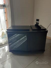 Mobile TV