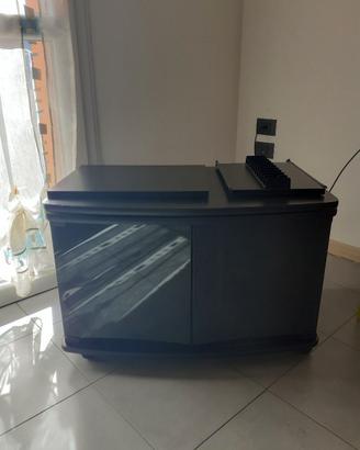 Mobile TV