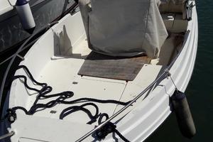 Barca Acquaviva con motore fuoribordo tohatsu