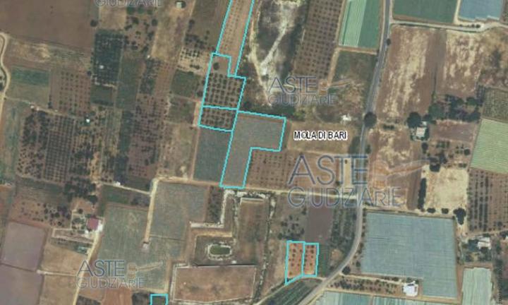 Terreno Agricolo Mola di Bari [A4294263]