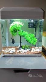 Acquario completo di tutto piu guppy