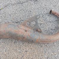 Arrow Shark Minarelli verticale