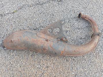 Arrow Shark Minarelli verticale