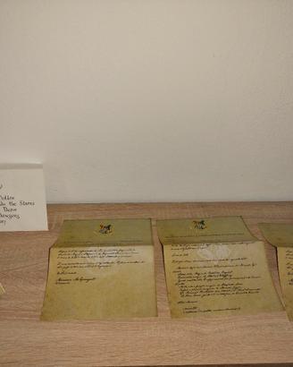 harry potter lettera e biglietto del treno