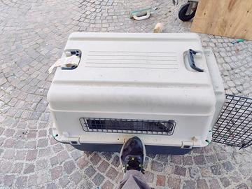 Trasportino cani
