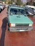 fiat-panda-1100-i-e-cat-young