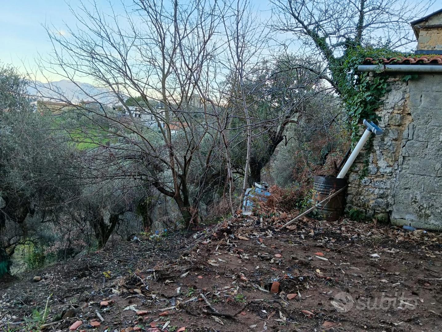 Terreno Agricolo con Casolare edificabile - Vista 2