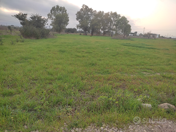 Terreno non edificabile