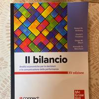 Il bilancio, Mc Graw Hill