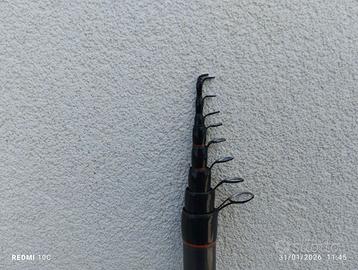 Canna bolognese ATMOSPHERE 600