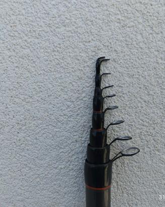 Canna bolognese ATMOSPHERE 600