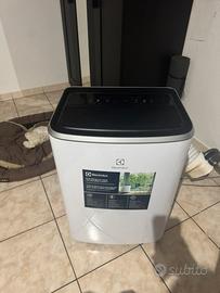 Condizionatore Portatile Electrolux