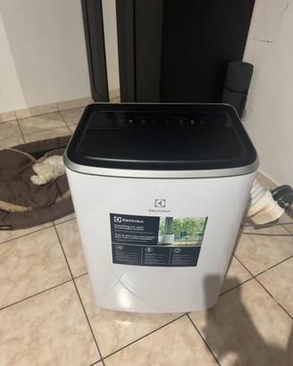 Condizionatore Portatile Electrolux