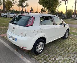 FIAT Punto 1.4 natural power Street 5p pari al nuo
