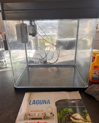 ACQUARIO venduto