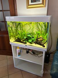 Acquario completo