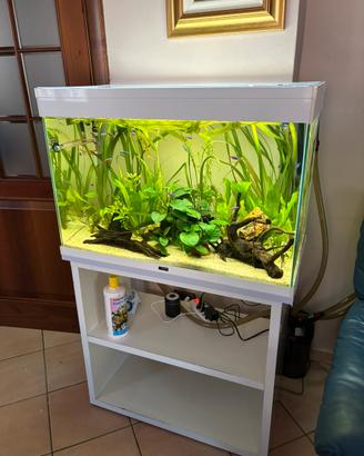 Acquario completo
