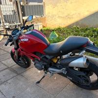 ducati  monster stupendo