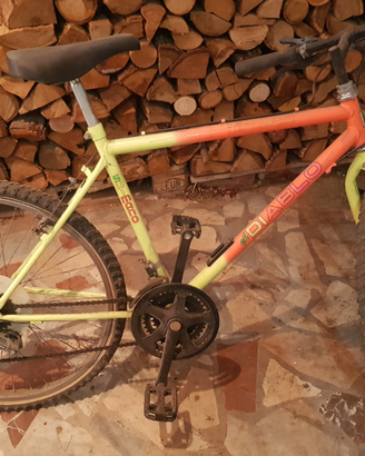 Mountain Bike