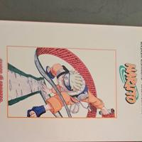 Naruto cuore di ragazzo sangue di demone 