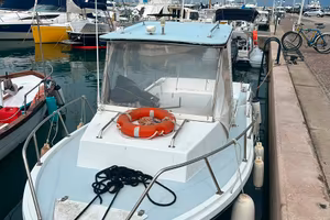 Barca a motore