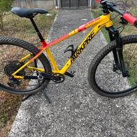 MTB carbonio Parkpre 29” - Taglia S