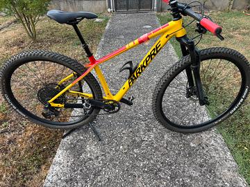 MTB carbonio Parkpre 29” - Taglia S