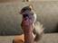 Immagine 3
