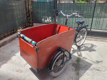 Cargo bike Babboe bike muscolare 