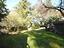 Immagine 12