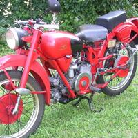 Moto Guzzi Altro modello - 1953