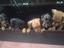 Immagine 5