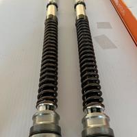 NIX 30 OHLINS per forcelle originali R1