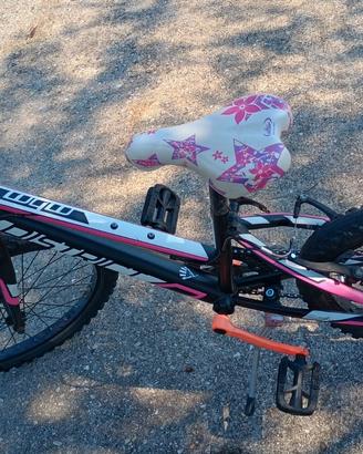 Bici bambina 20 