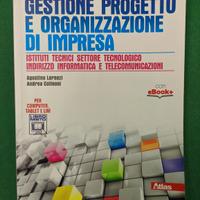 gestione progetto e organizzazione di impresa