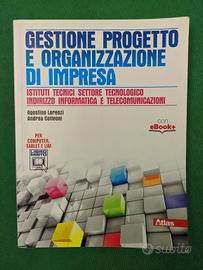 gestione progetto e organizzazione di impresa