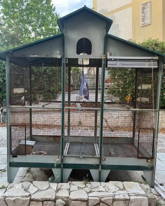 Voliera professionale