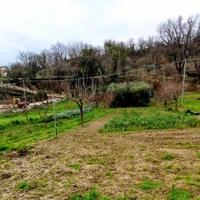 Terreno agricolocon uliveto e pozzo