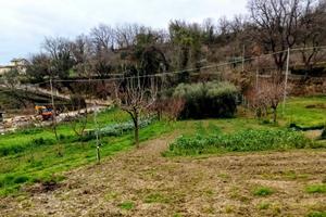 Terreno agricolocon uliveto e pozzo